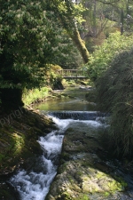 SPRINGTME BODNANT GARDENS