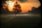 MORNING MIST MARBURY PARK