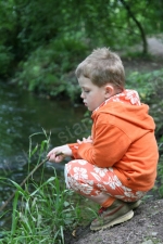 A SPOT OF FISHING