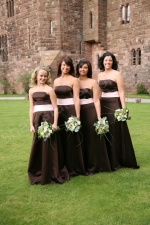 PECKFORTON CASTLE