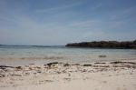 CROIG