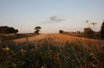 EVENING IN EDINTHORPE