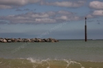SEA PALLING 