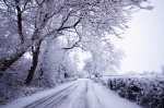 SPRING LANE